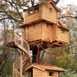 Cabane dans les arbres