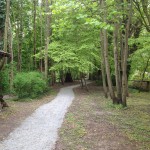 Chemin en cailloux