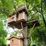 Cabane de la rivière dans les arbres