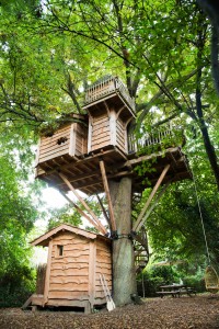 Cabane de la rivière dans les arbres