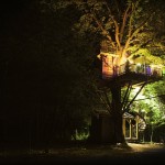 La cabane de nuit