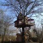 cabane dans les arbres