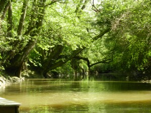 La rivière