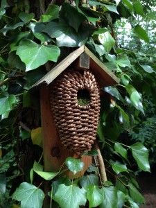 nid d'oiseaux de la clairière en bois