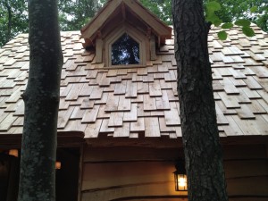 toiture de la cabane de la clairière