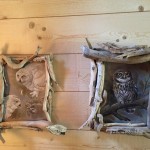 Photos de chouettes sur mur en bois