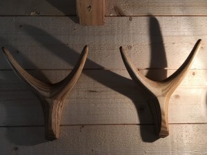Portes manteaux en bois