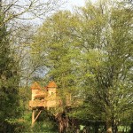 Cabane perchée dans les arbres