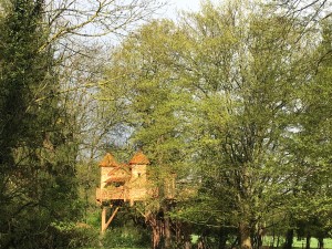 Cabane perchée dans les arbres