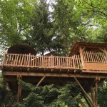 Cabane dans les arbres