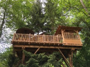 Cabane dans les arbres