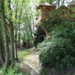 Cabane dans les arbres