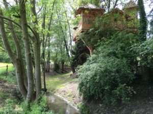 Cabane dans les arbres