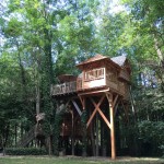 Cabane dans les arbres