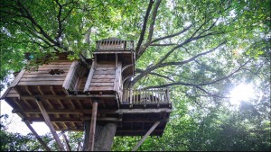 Cabane dans les bois