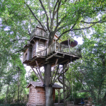Une cabane nichée dans les bois