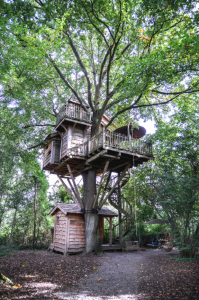 Une cabane nichée dans les bois