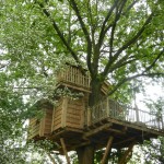 Cabane dans les bois