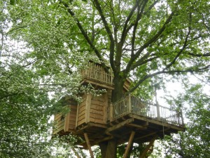 Cabane dans les bois